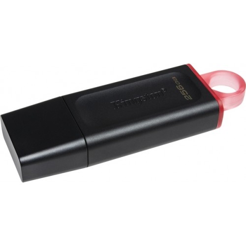 USB STICK KINGSTON DATATRAVELER EXODIA DTX 256GB USB 3.2 DTX/256GB